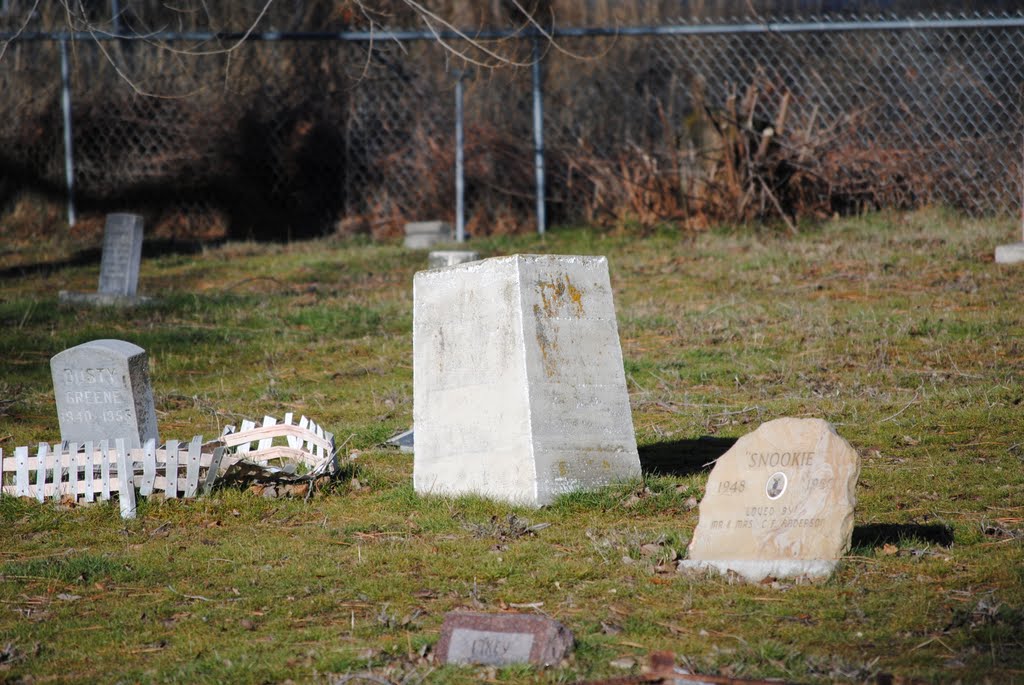 Pet Cemetery