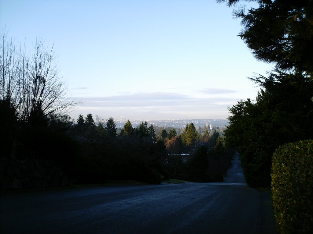 View of Seattle Skyline from Bellevue