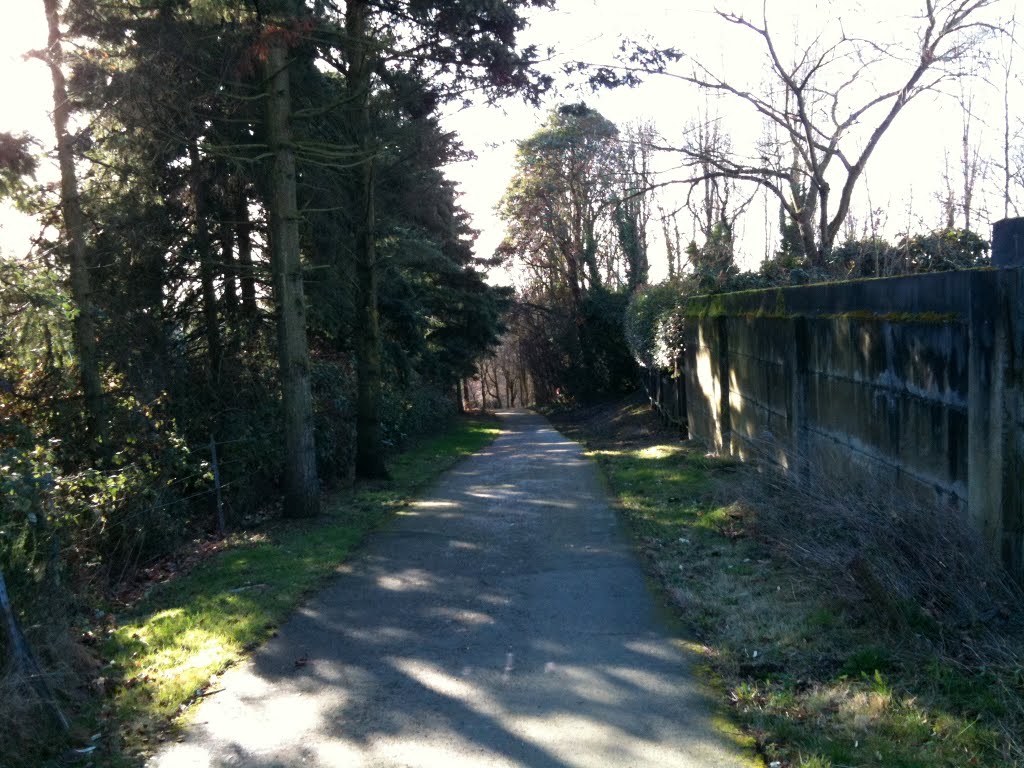 East Entrance to Points Loop Trail