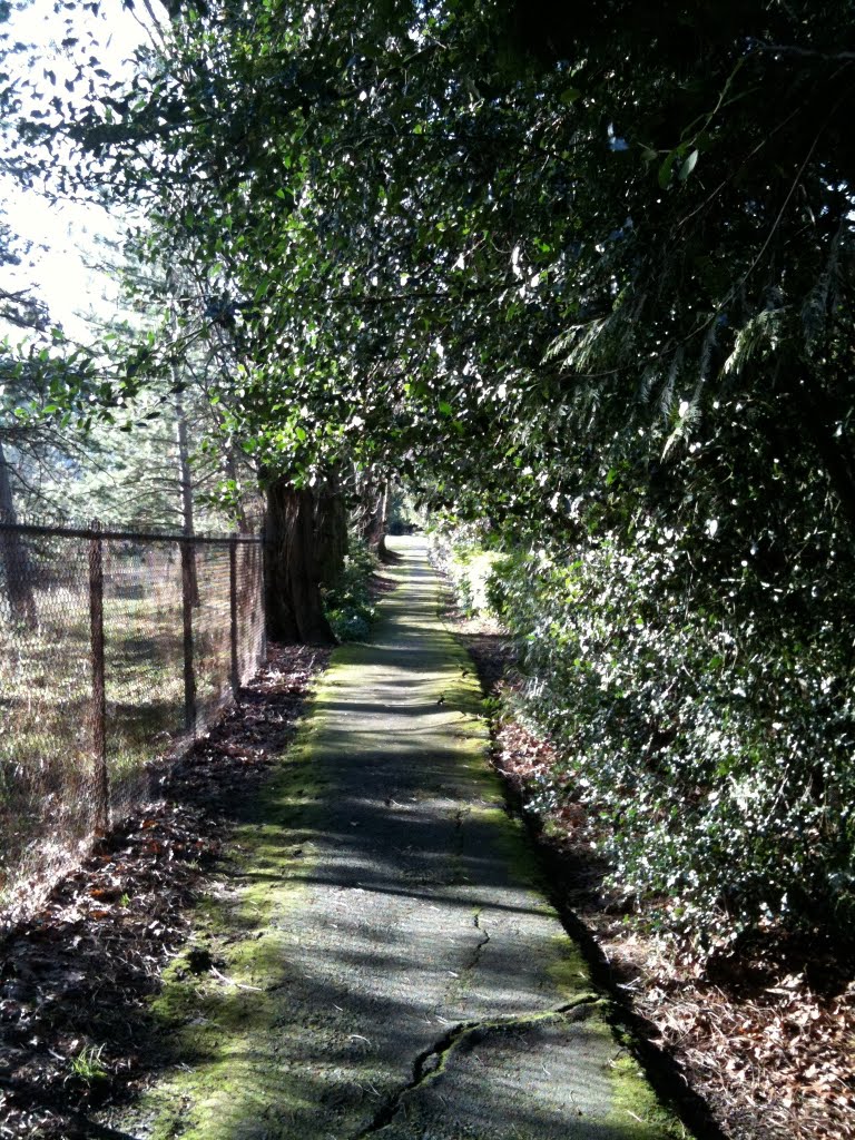 Along Points Loop Trail