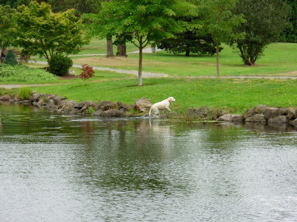 Just got out from pond-bathing !