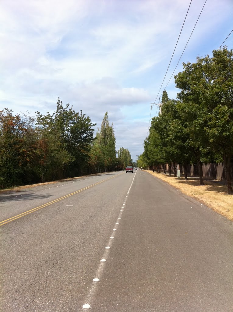 Atop Clyde Hill