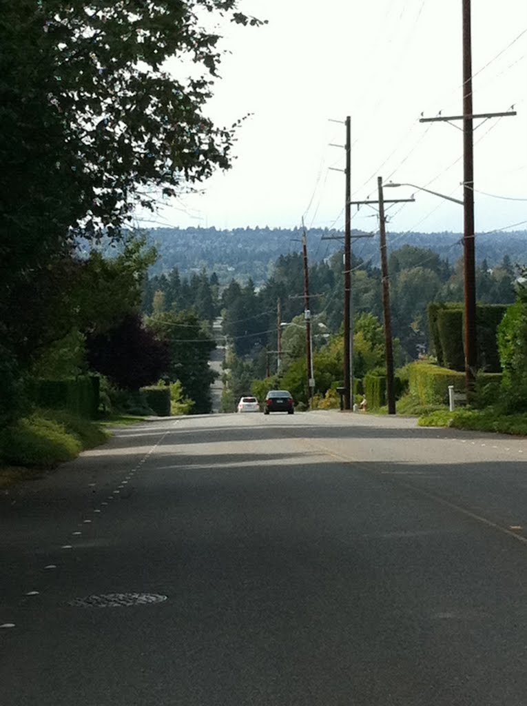 Atop Clyde Hill - Looking Back Down
