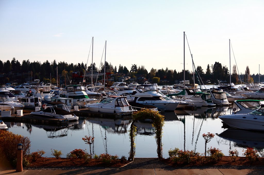 Marina, Carillon point, Kirkland
