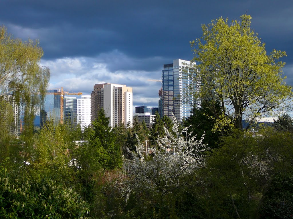 Bellevue WA, Downtown from Manor Hill