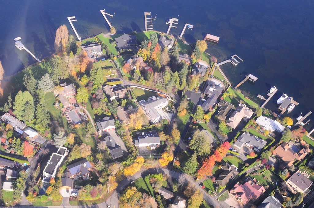 seattle yarrow bay houses