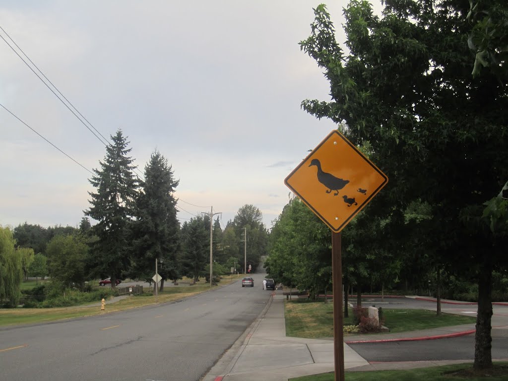 Bellevue