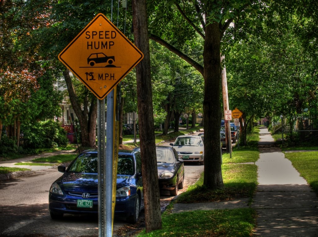 Speed "Humps"?  (HDR)
