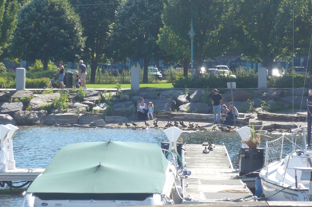 Burlington harbor