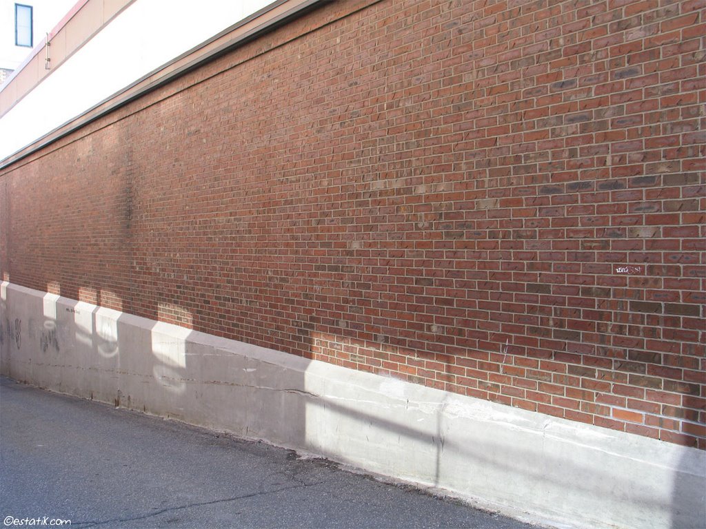 Shadow and light