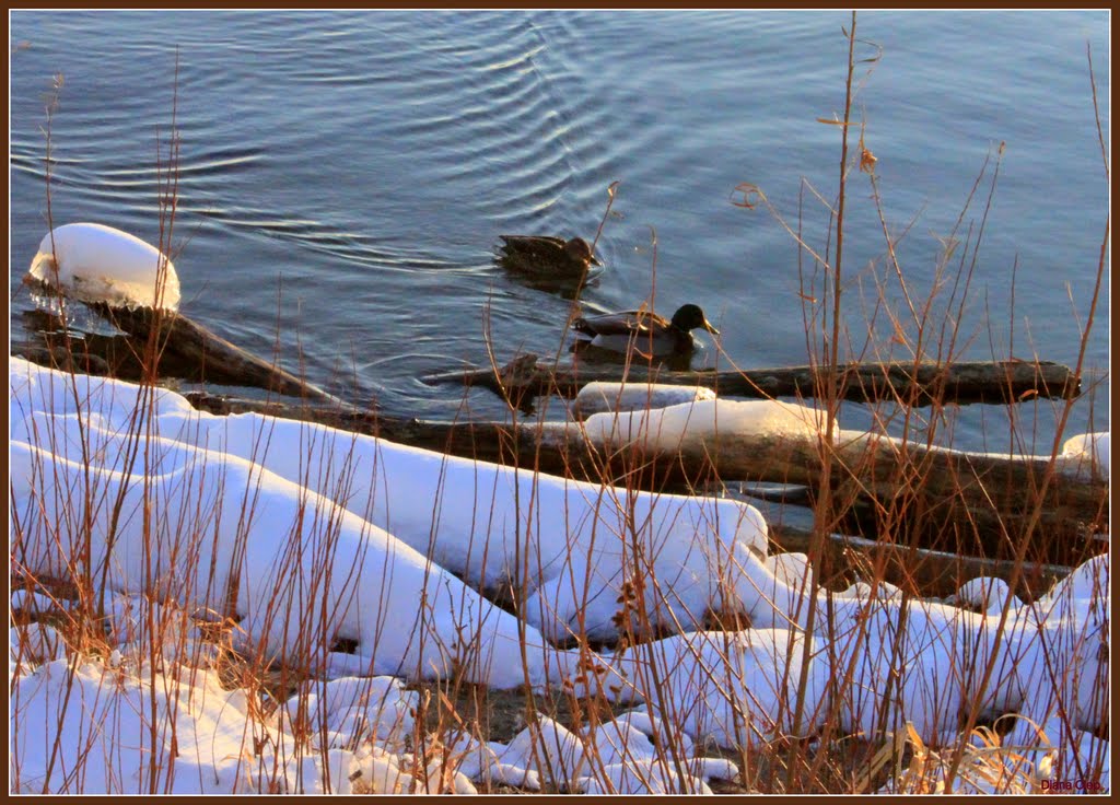 Champlain Lake winter