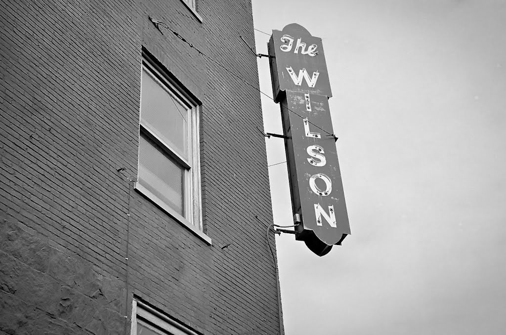 Wilson