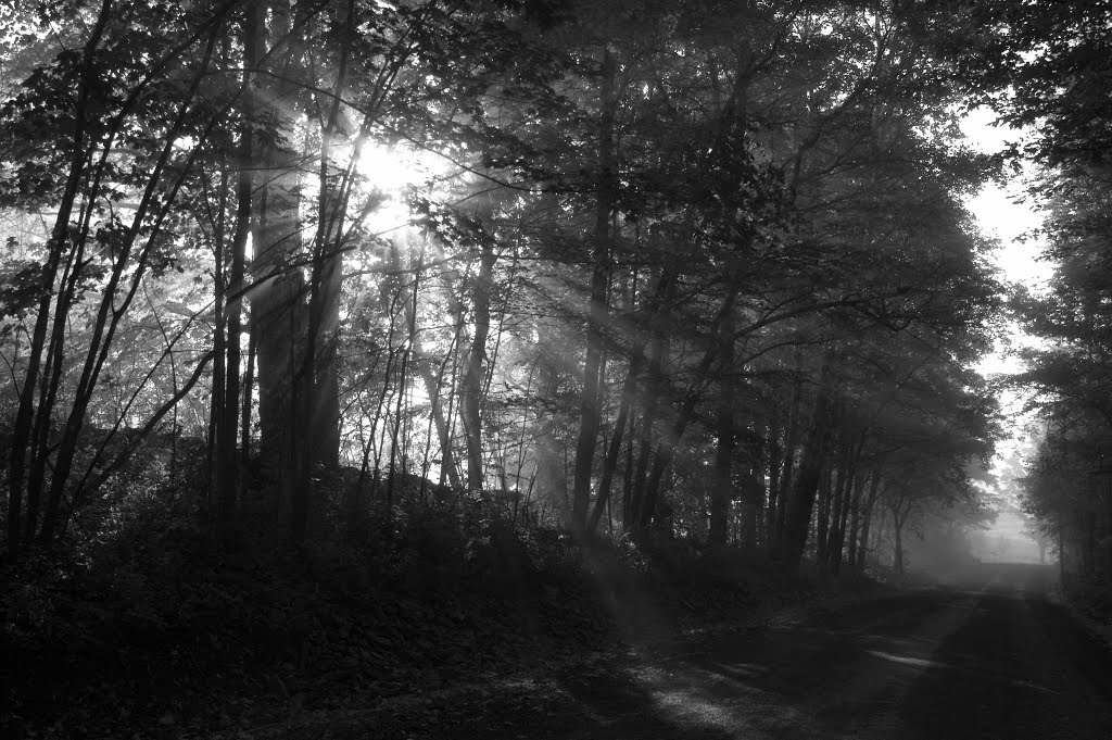 misty morning