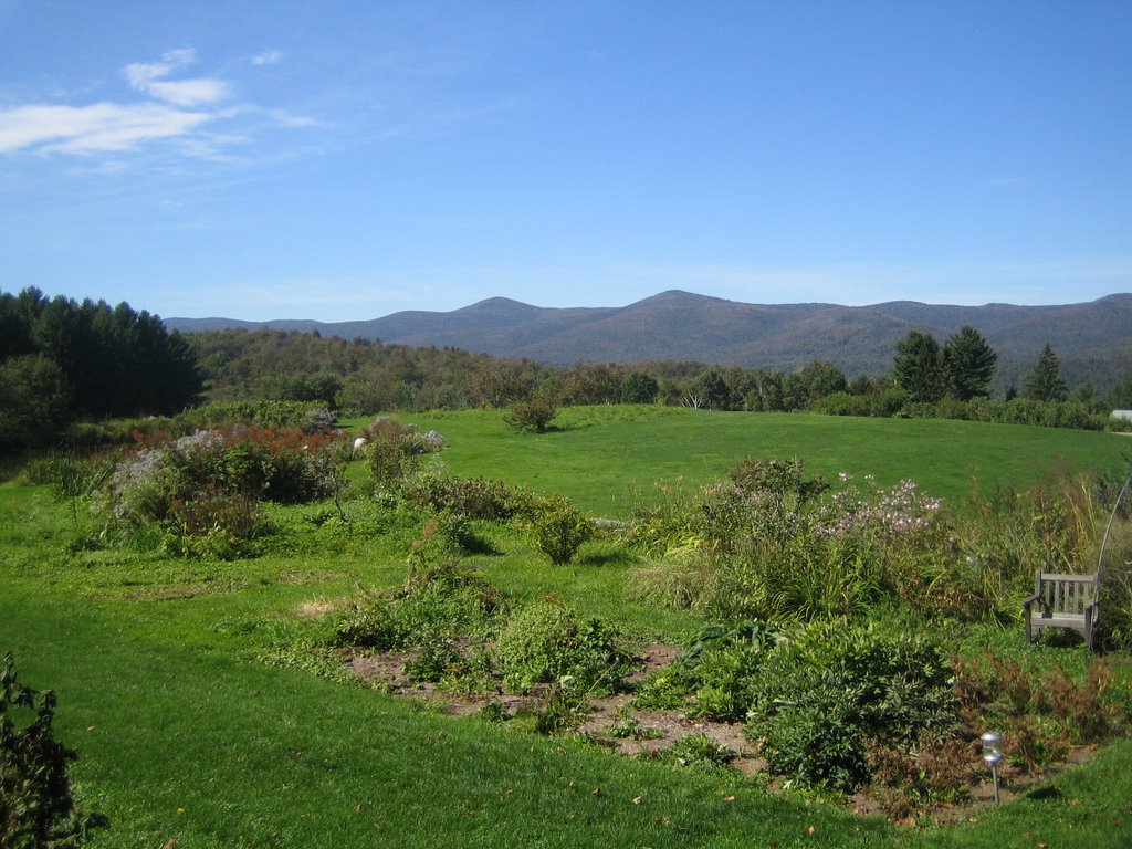 View From Third Branch Farm