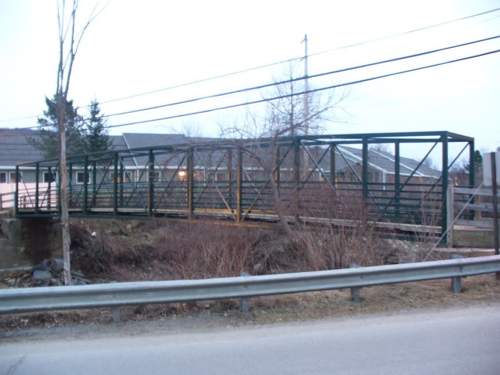 The Water st. walk bridge ( water st side view)