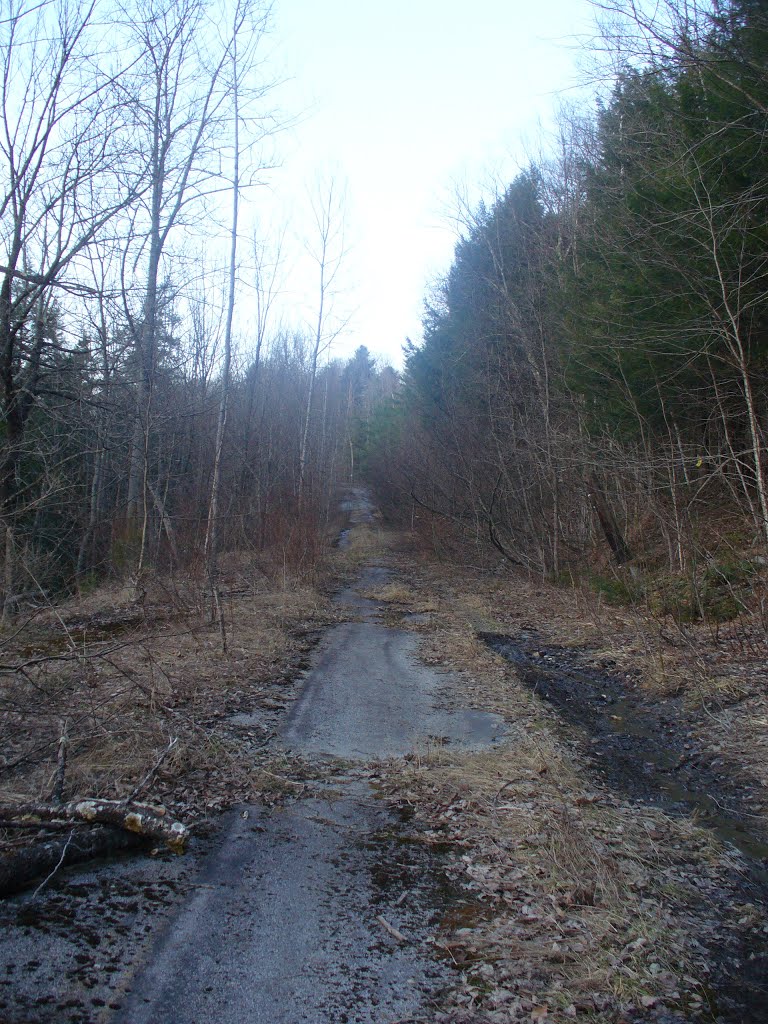 Abandon Old Mill Hill Rd.