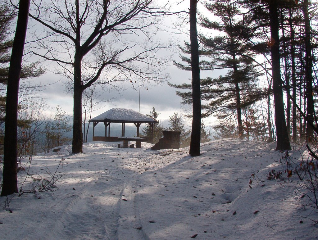 Mount Pulaski Shelter