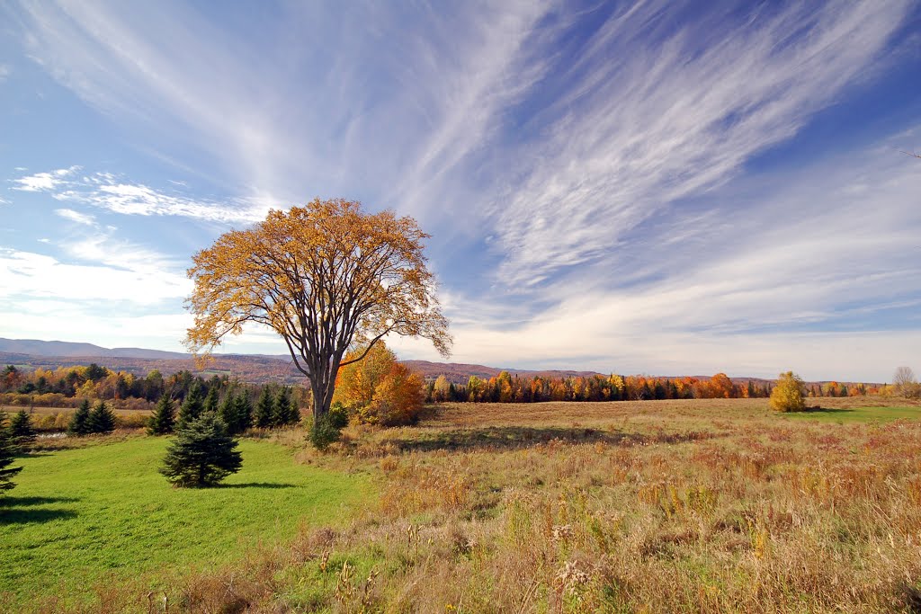 Brookfield view