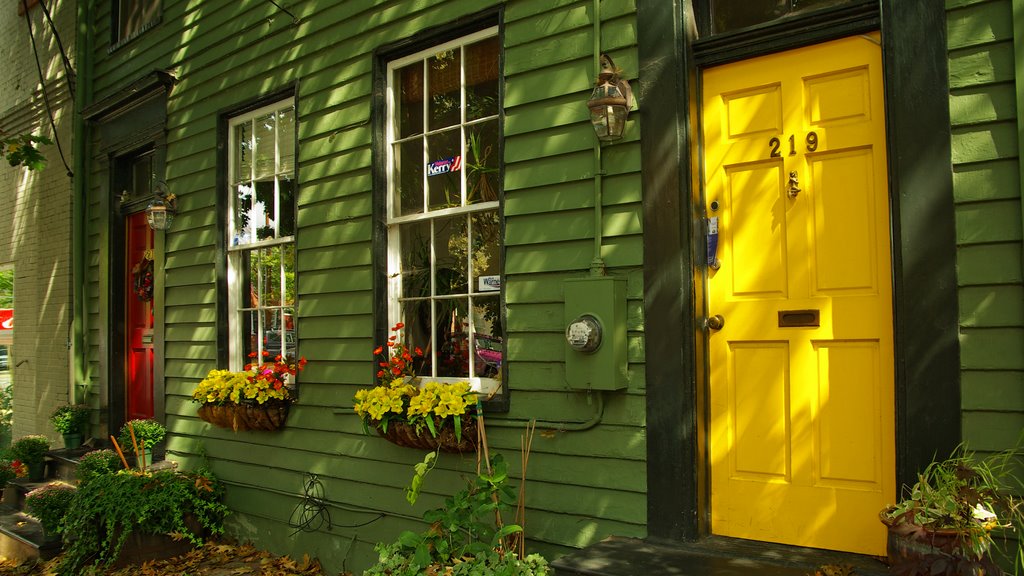Old town Alexandria house