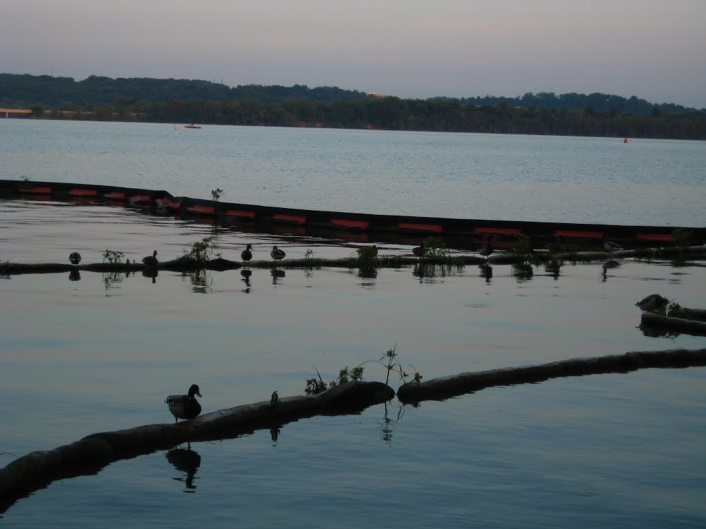 Potomac river after the sunset, Old Alexandria town
