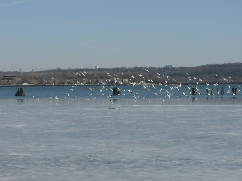Frosen Potomac from Old Alexandria town, VA