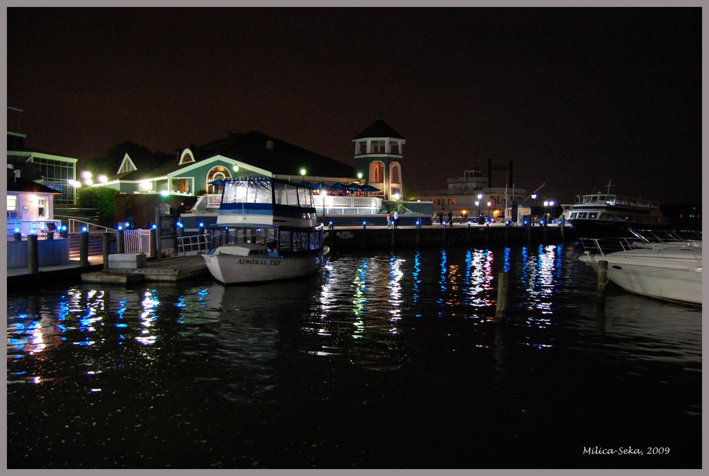 Marina in Alexandria