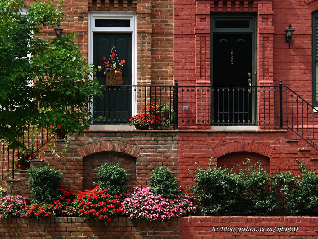 front doors, Alexandria, VA