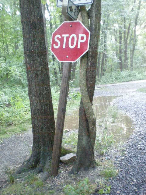 Misplaced Stop Sign