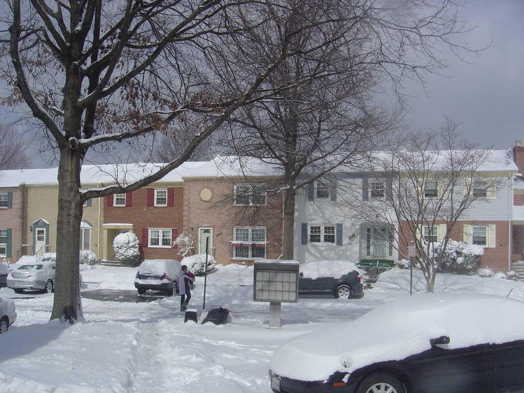 King Edward Ct. Annandale