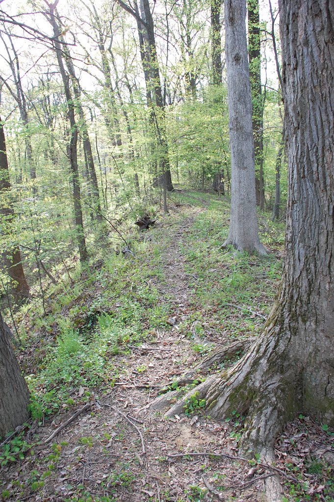 Manassas Gap Railroad - Independent Line