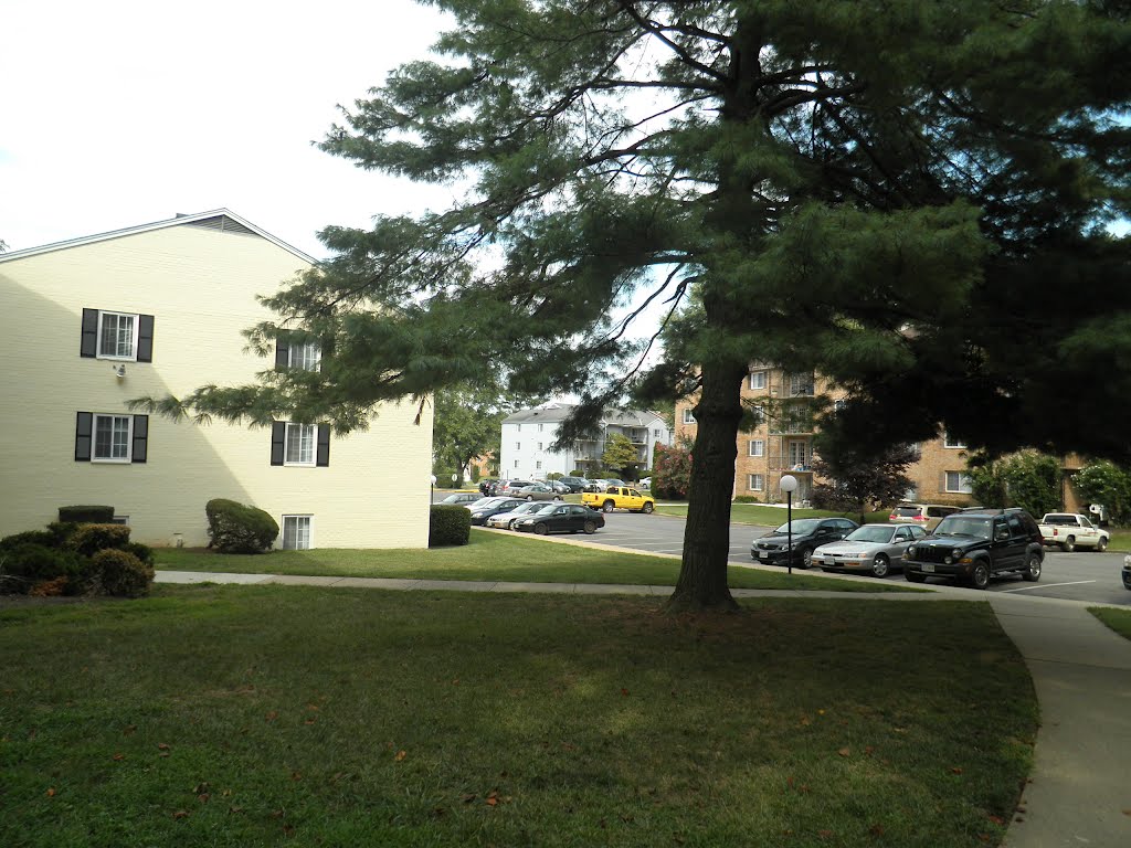 Allman dr Annandale, VA
