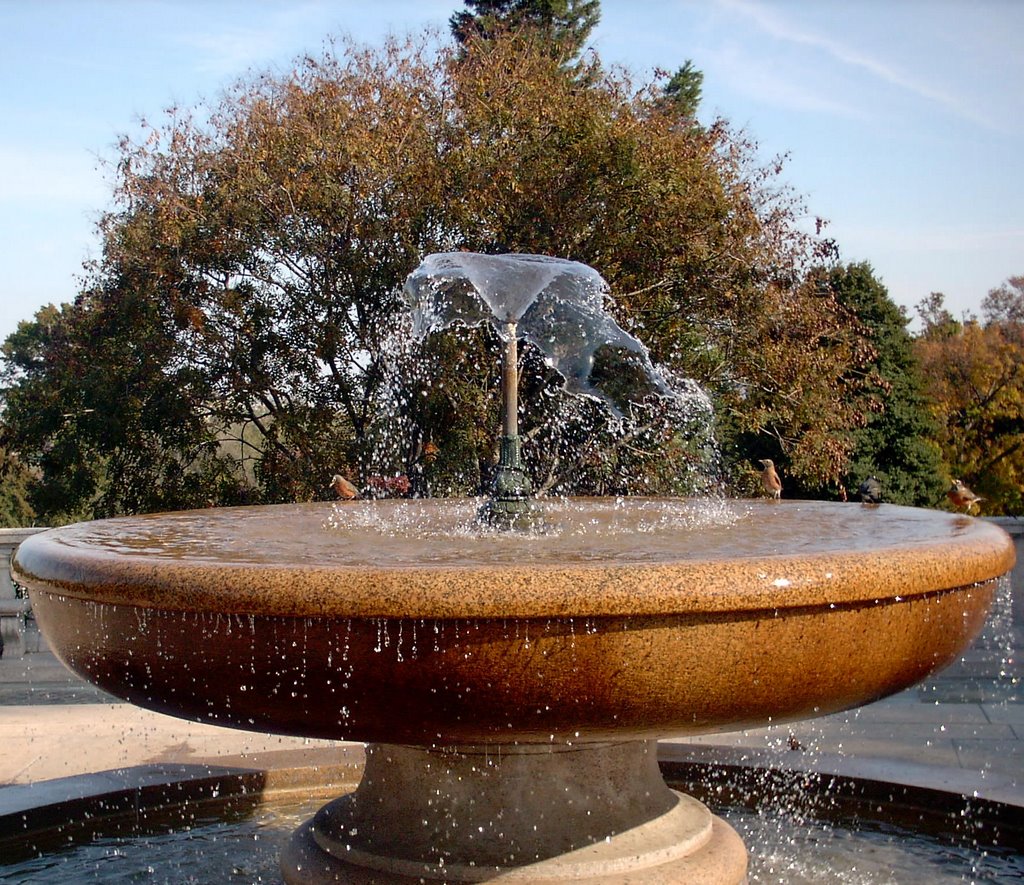 Water fountain at the Tomb of the Unknowns on Veterans Day 11-11-2007