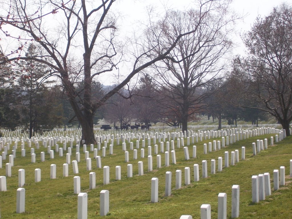 Arlington Cemetery Funeral Carriage