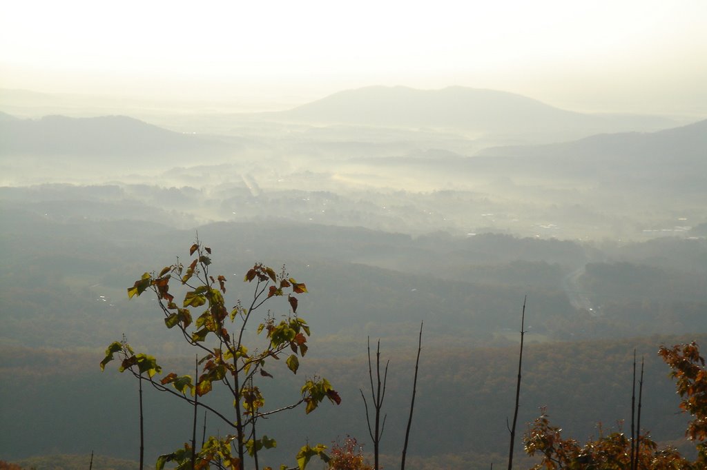 Montvale from BlueRidge Parkway