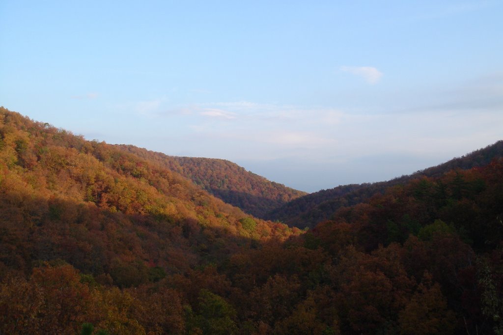 BlueRidge Parkway
