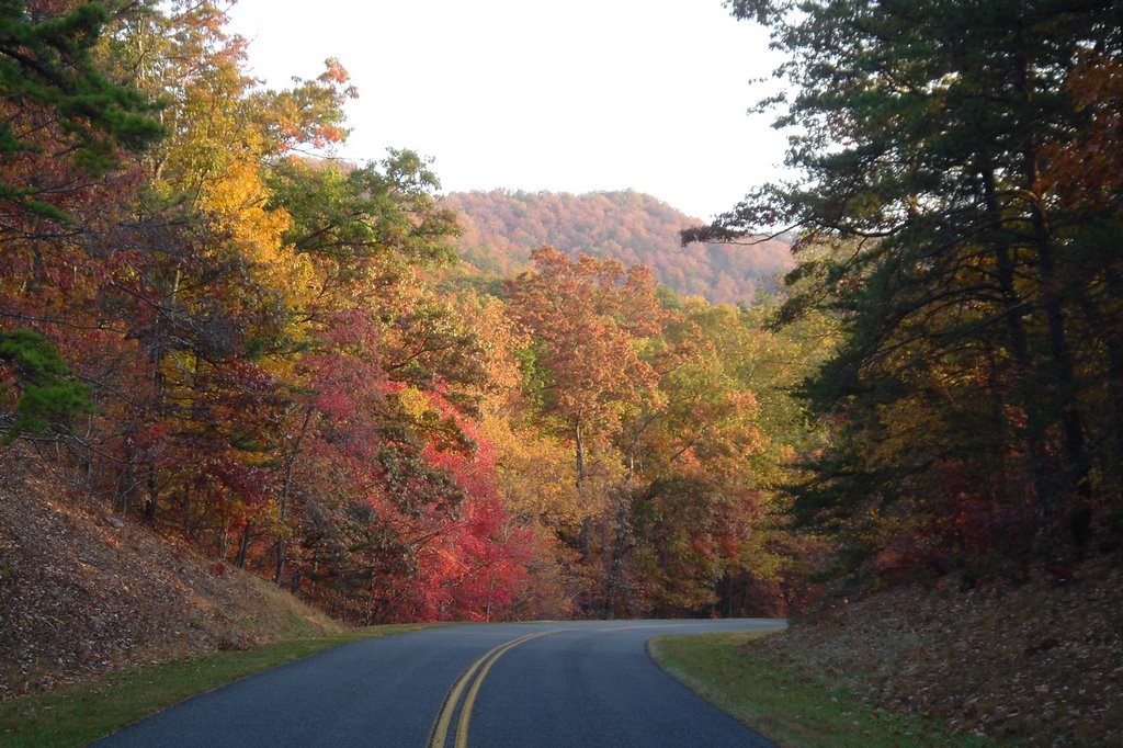 BlueRidge Parkway Fall