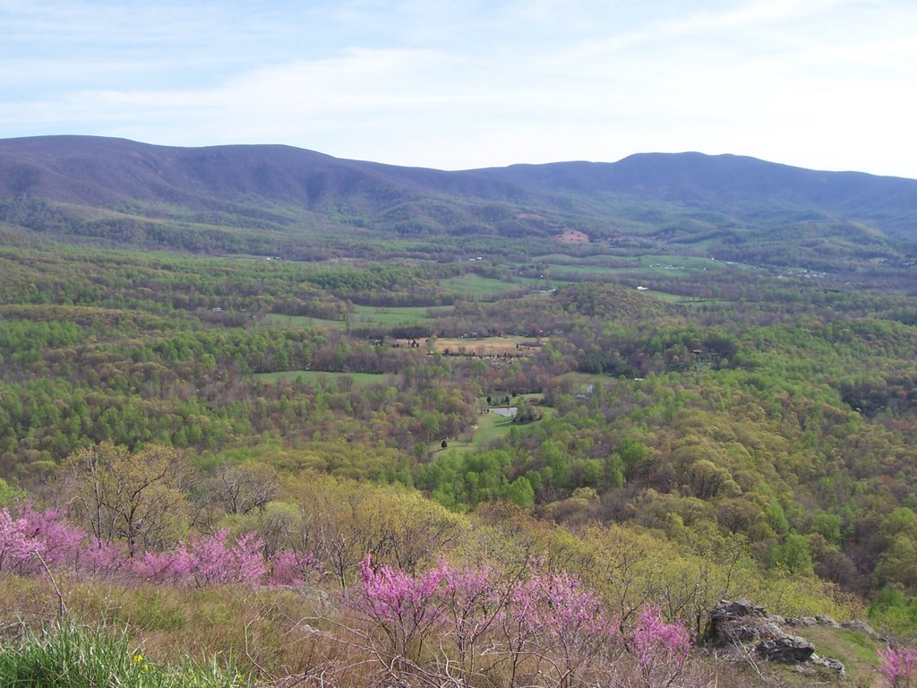 View from the Blue Ridge Parkway, Virginia