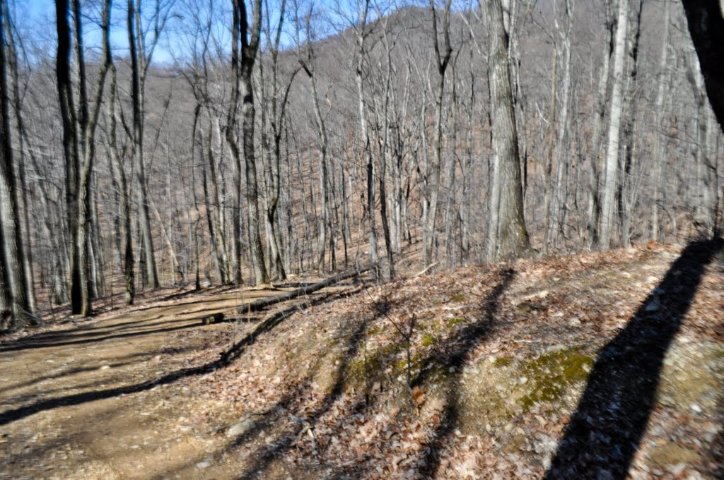 Trail on Coyner Mtn