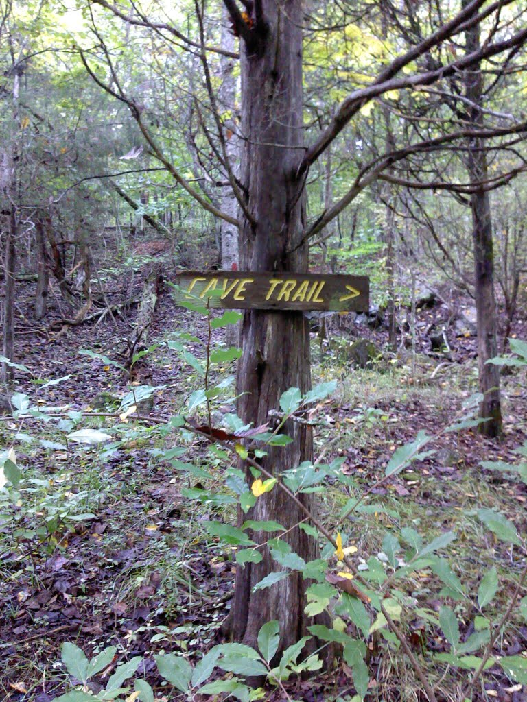 Trail Intersection