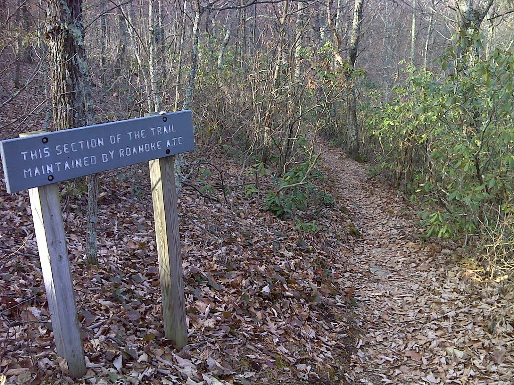 The AT just south of Black Horse Gap