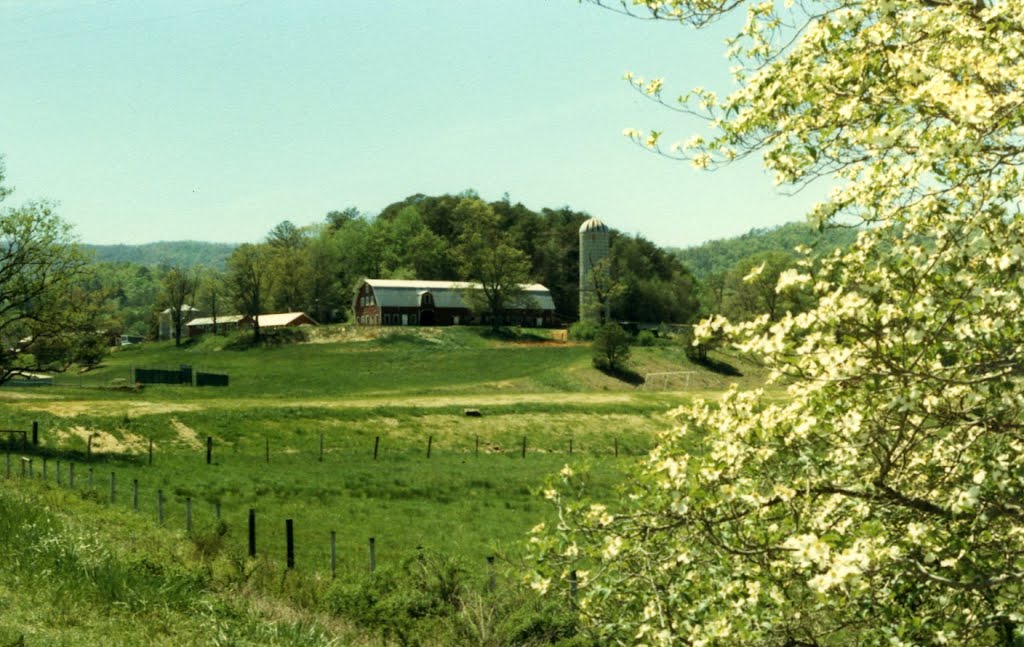 Blue Ridge Farm