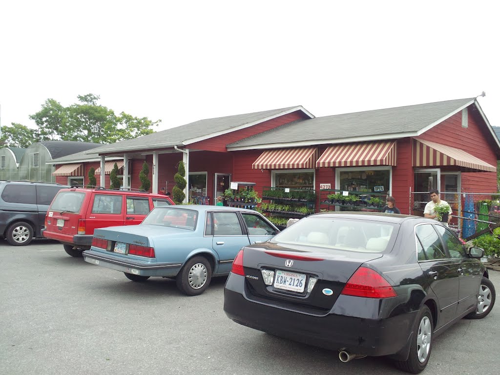 Country store on 460