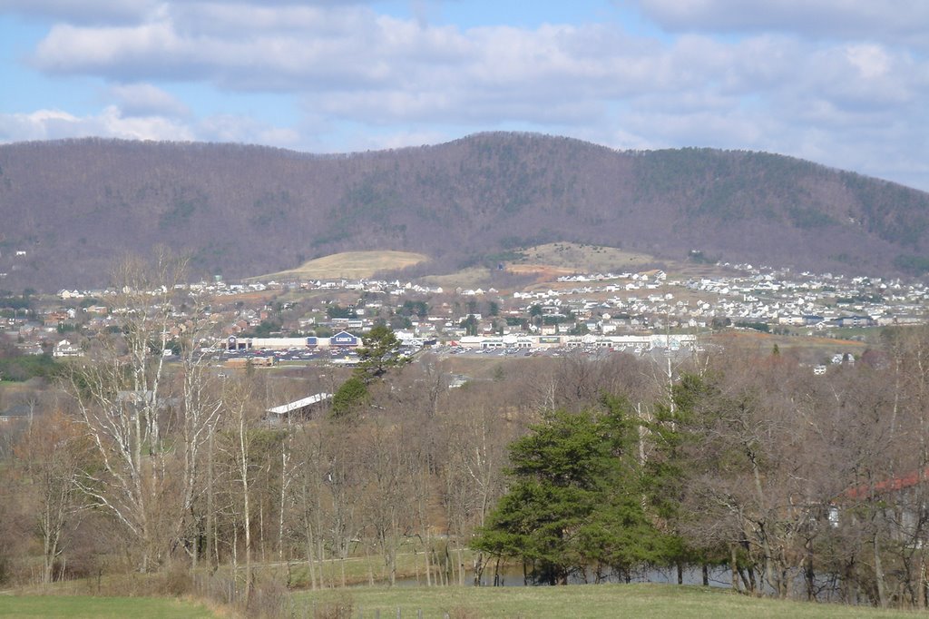Looking at Troutville