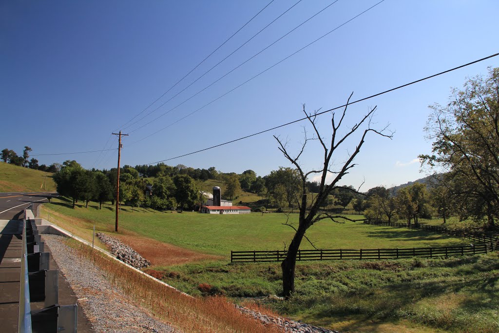 Pastureland, North of Troutville VA