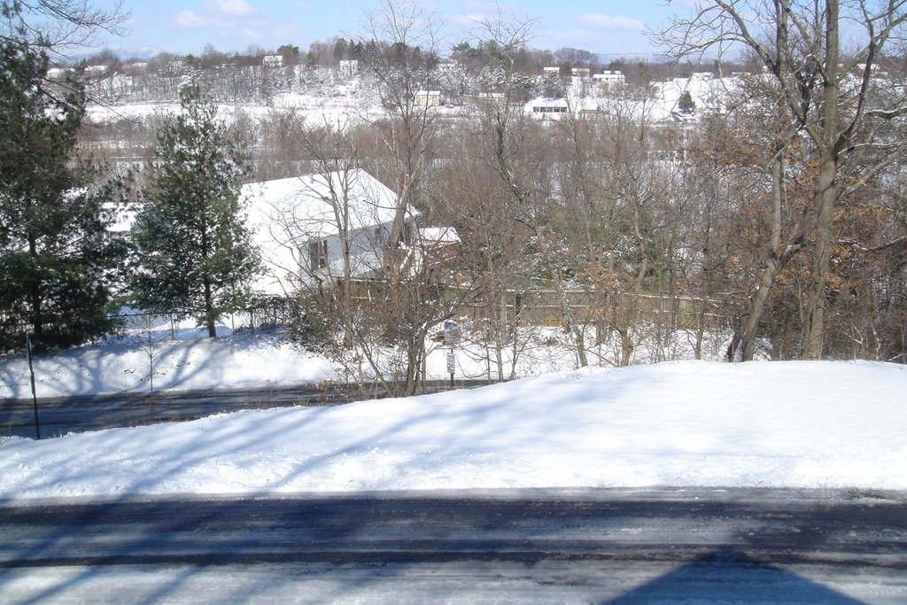 2009 Snow in Roanoke