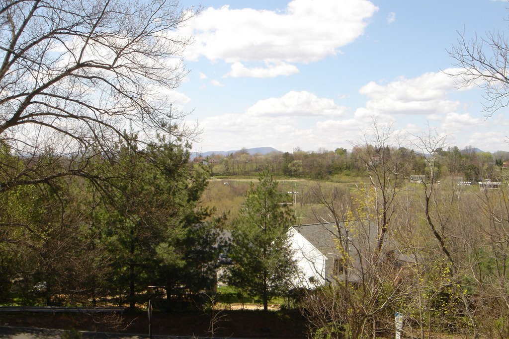 Vineyard Park