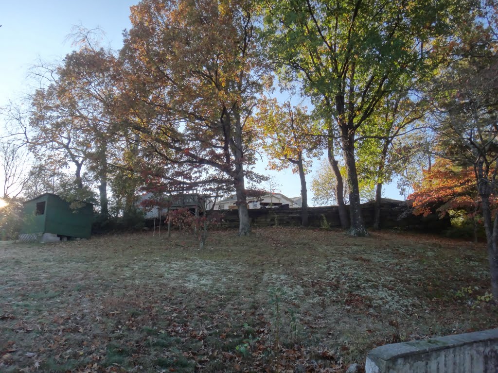 Backyard frost morning