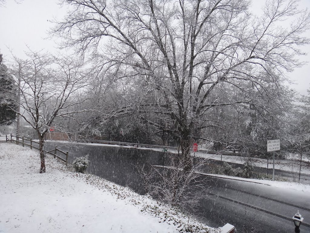 Snow coming down TX10