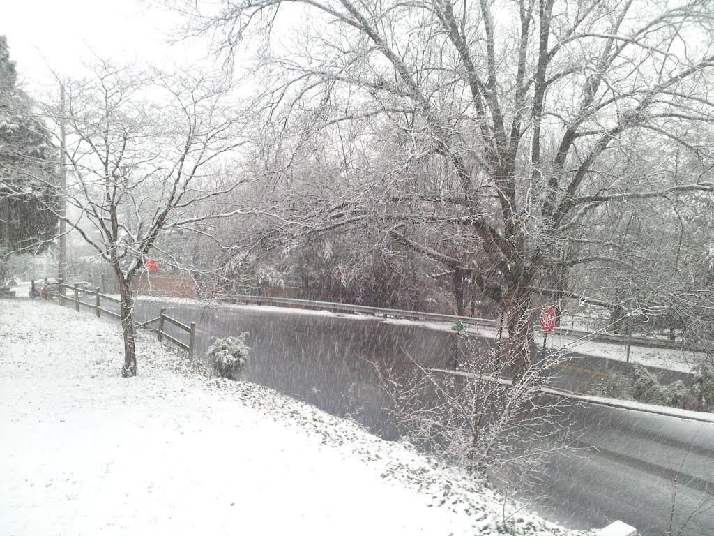 Snow coming down