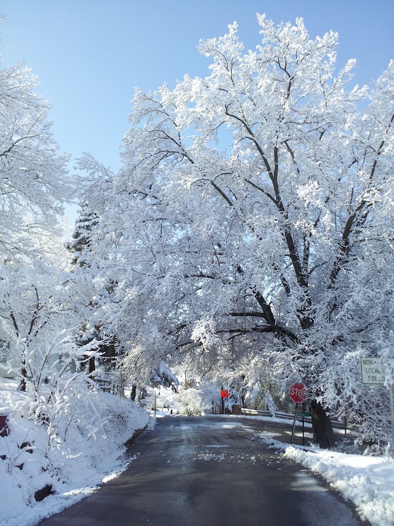 A snowy Morning